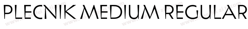 Plecnik Medium Regular字体转换